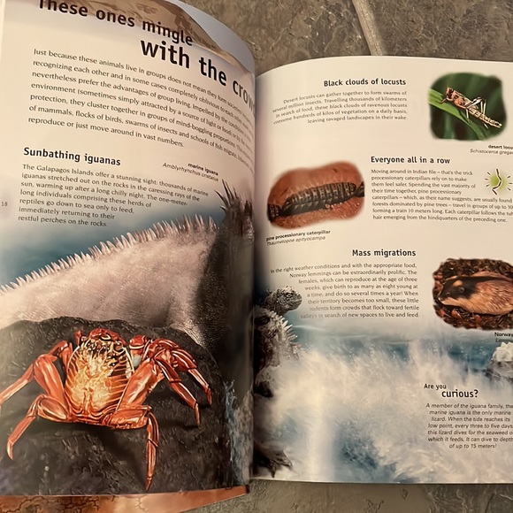 7 “so many ways” books with birds, reptiles, animals etc - Picture 7 of 12